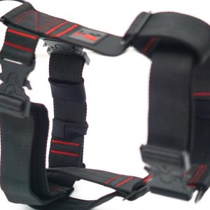 Harness with Cobra Clips
