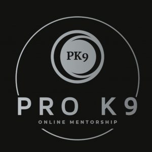 NeMo Mentorship Programme 2026