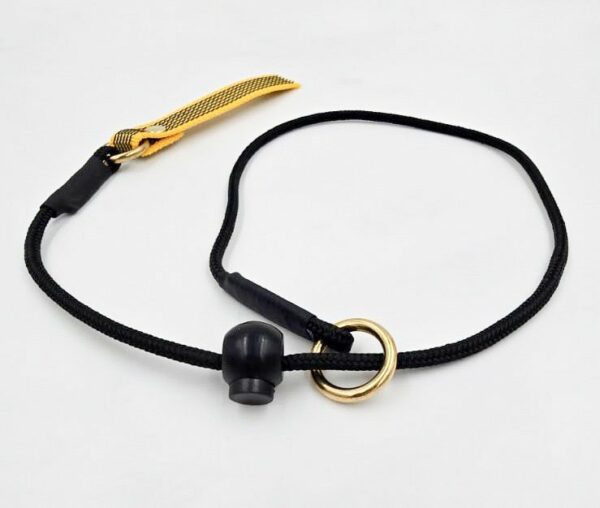 4mm Training Collar - Image 5