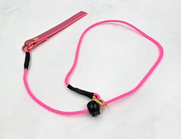 4mm Training Collar - Image 2