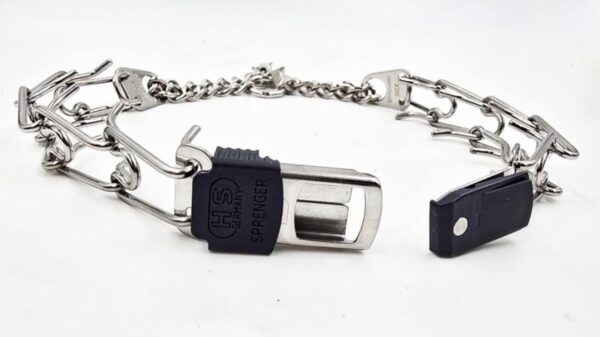 Silver Quick Lock Prong Collar - Image 3