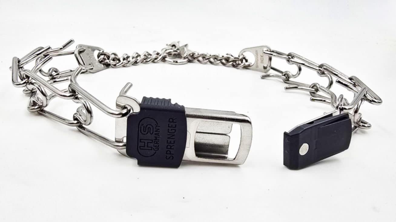 Silver Quick Lock Prong Collar - Image 3