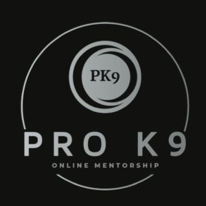 NeMo Mentorship Programme March 2025