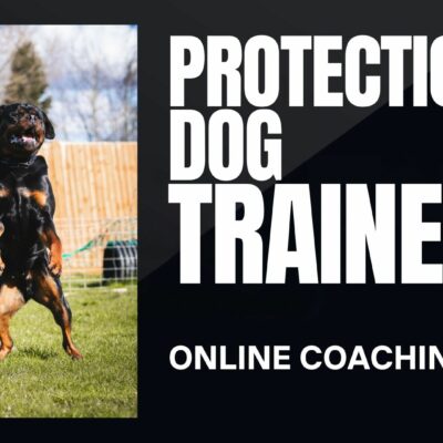 Protection Dog Trainer