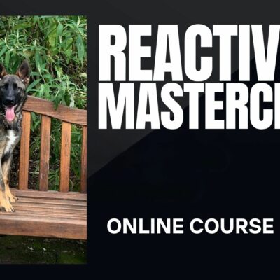 Dog Reactivity Masterclass
