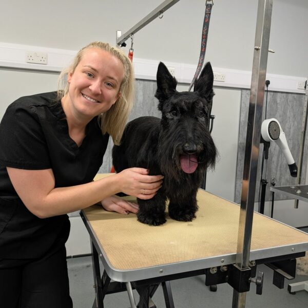 Kelsie with Freshly Groomed Scottie